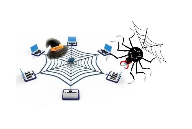 搜索引擎蜘蛛對網站頁面爬行的規律